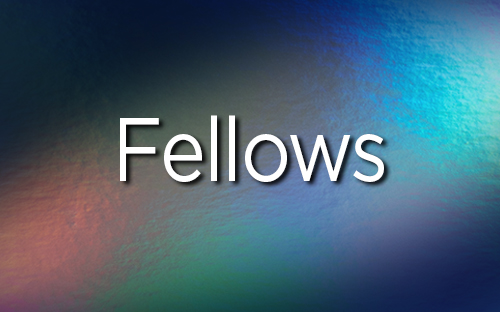 Fellows Videos