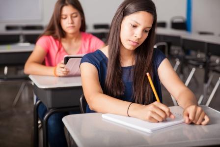 ELL_AP_500 ELL_AP_500